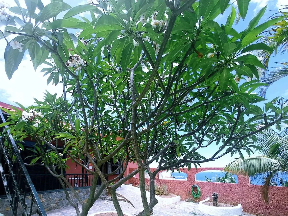 Live Garachico Villa Daute Con Terraza Y Piscina Las Cruces  0*, Las Cruces (Canary)